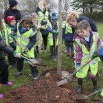 Planting a tree in Eastville Park in Bristol.